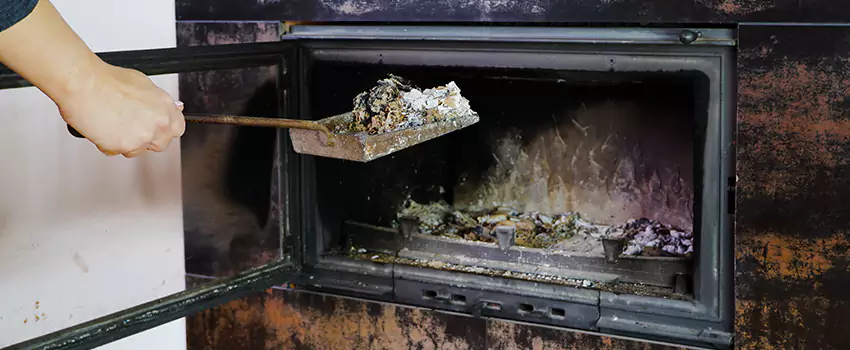 Wood Burning Chimney Odor Removal in Tsawwassen, British Columbia