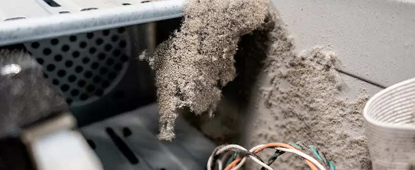 Clogged Dryer Vent Lint Cleaning in Tsawwassen, British Columbia