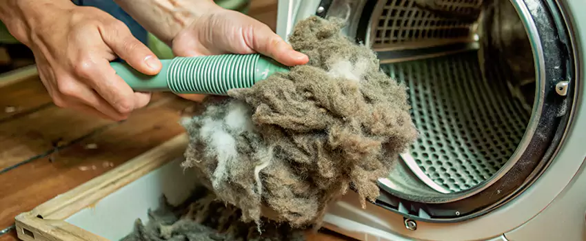 Best Dryer Lint Removal Company in Tsawwassen, British Columbia