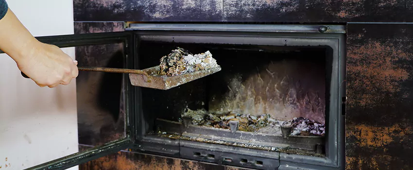 Fireplace Interior Sweeping in Tsawwassen, BC