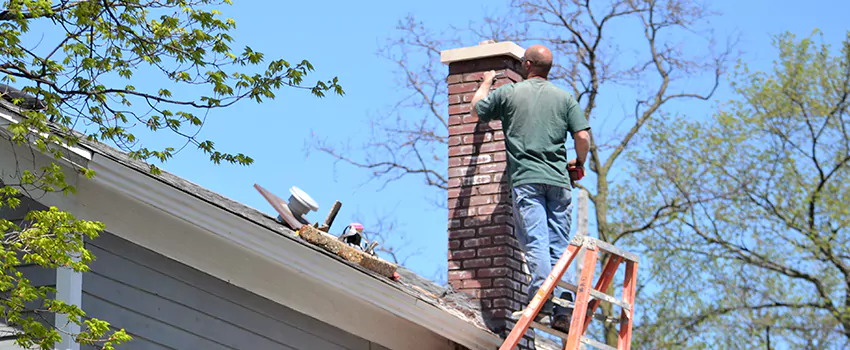 Chimney And Flue Brush Cleaning in Tsawwassen, British Columbia