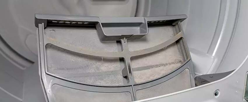 Benefits of Professional Clogged Dryer Vent Cleaning in Tsawwassen, British Columbia