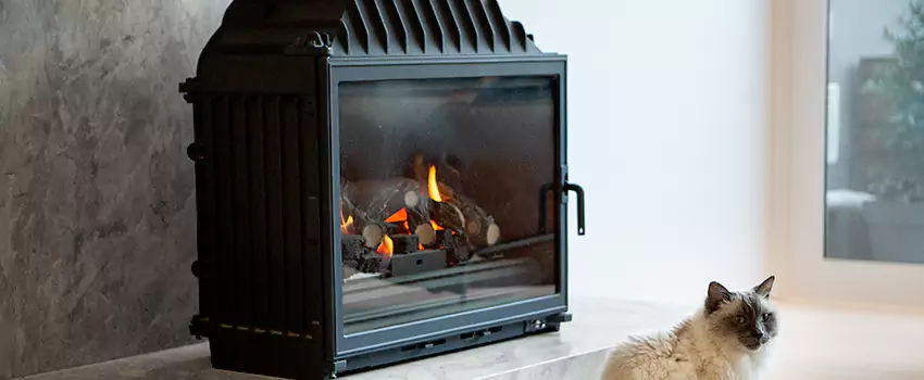 Fireplace Damaged Damper Frame Repair Services in Tsawwassen, British Columbia