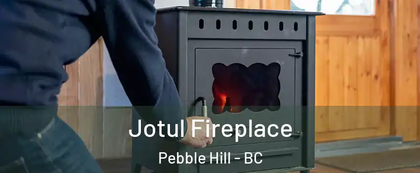 Jotul Fireplace Pebble Hill - BC