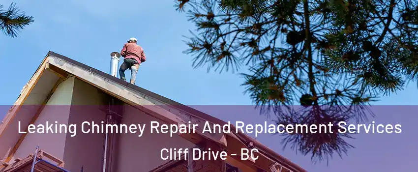 Leaking Chimney Repair And Replacement Services Cliff Drive - BC