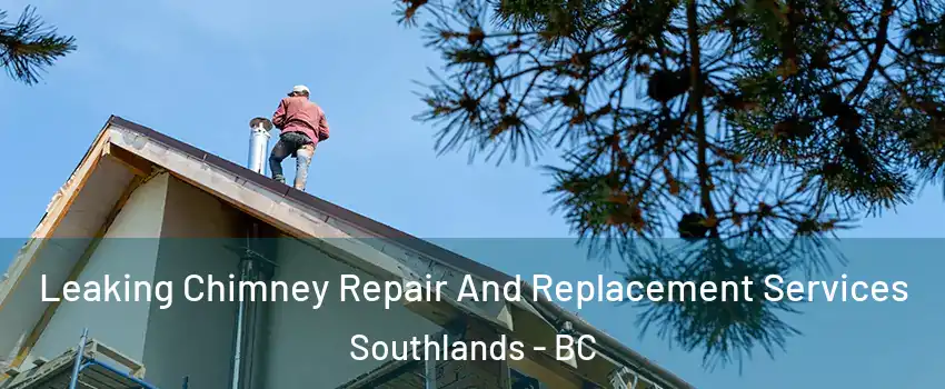 Leaking Chimney Repair And Replacement Services Southlands - BC
