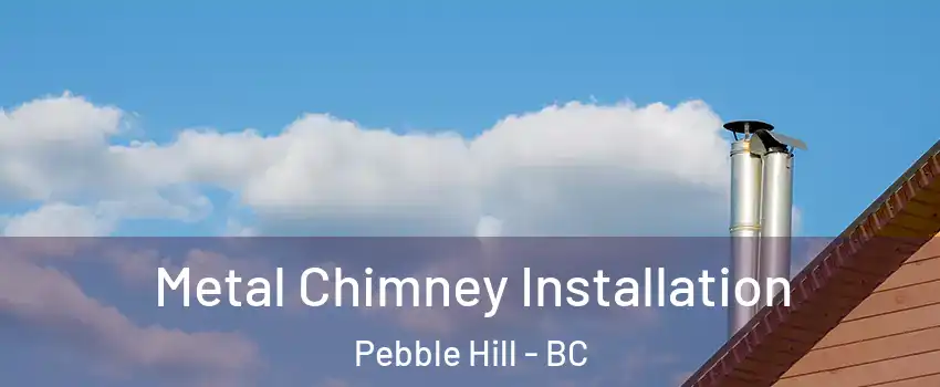 Metal Chimney Installation Pebble Hill - BC