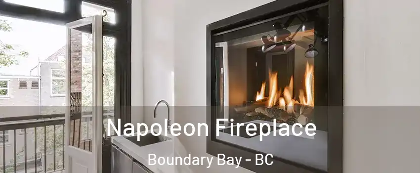 Napoleon Fireplace Boundary Bay - BC