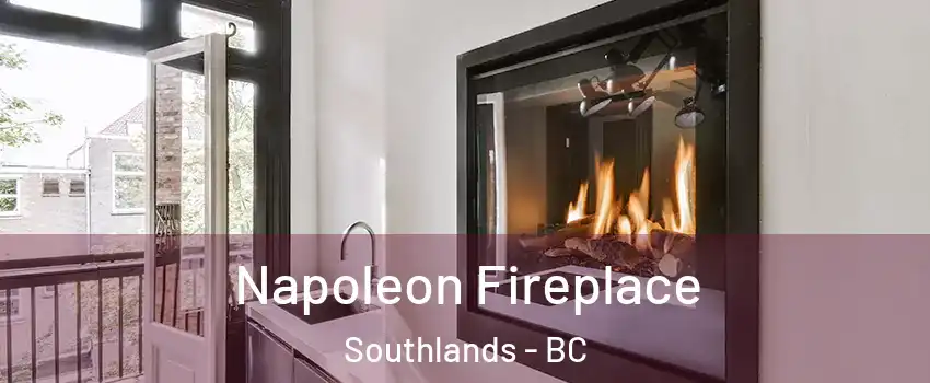 Napoleon Fireplace Southlands - BC