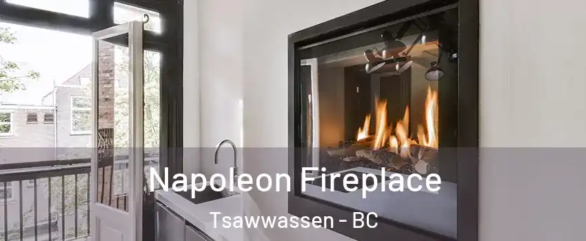 Napoleon Fireplace Tsawwassen - BC