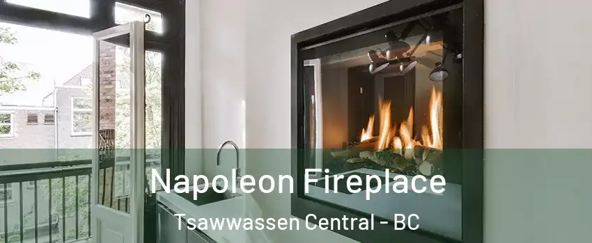 Napoleon Fireplace Tsawwassen Central - BC