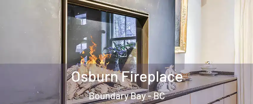 Osburn Fireplace Boundary Bay - BC