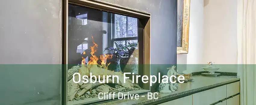 Osburn Fireplace Cliff Drive - BC