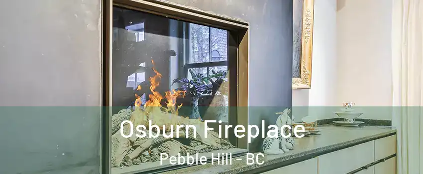 Osburn Fireplace Pebble Hill - BC