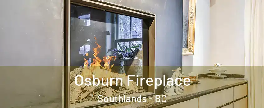 Osburn Fireplace Southlands - BC