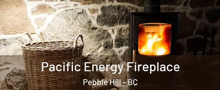 Pacific Energy Fireplace Pebble Hill - BC