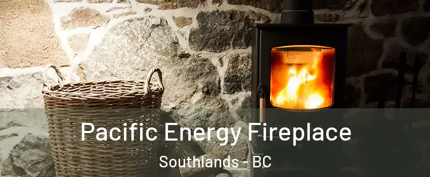 Pacific Energy Fireplace Southlands - BC