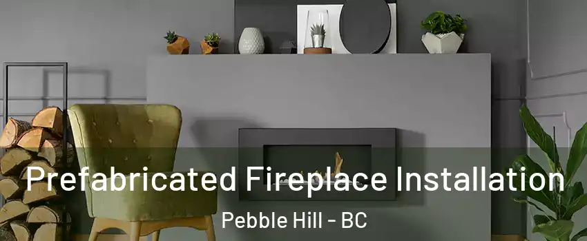 Prefabricated Fireplace Installation Pebble Hill - BC