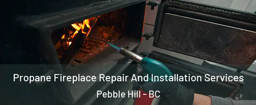 Propane Fireplace Repair And Installation Services Pebble Hill - BC