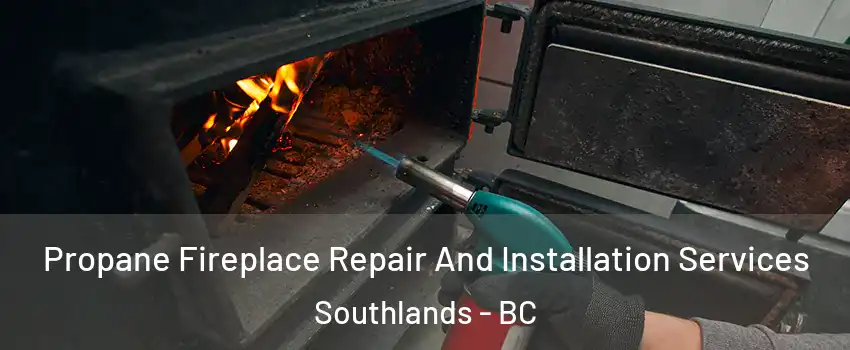 Propane Fireplace Repair And Installation Services Southlands - BC