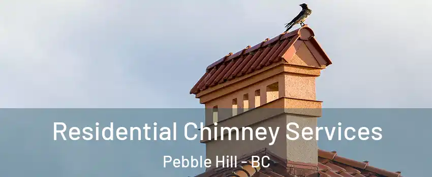 Residential Chimney Services Pebble Hill - BC