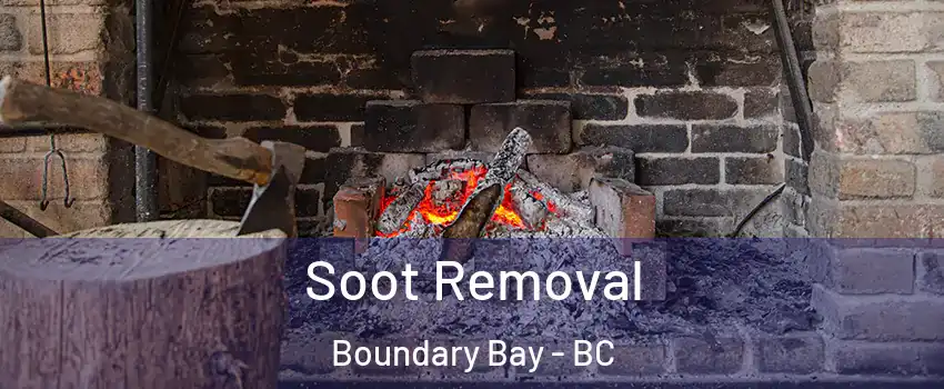 Soot Removal Boundary Bay - BC