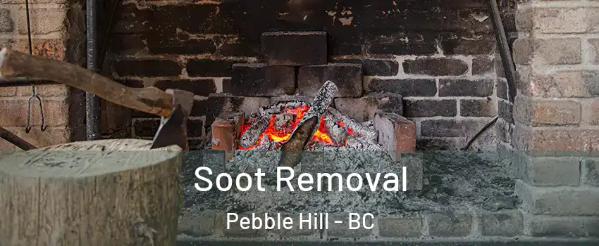 Soot Removal Pebble Hill - BC