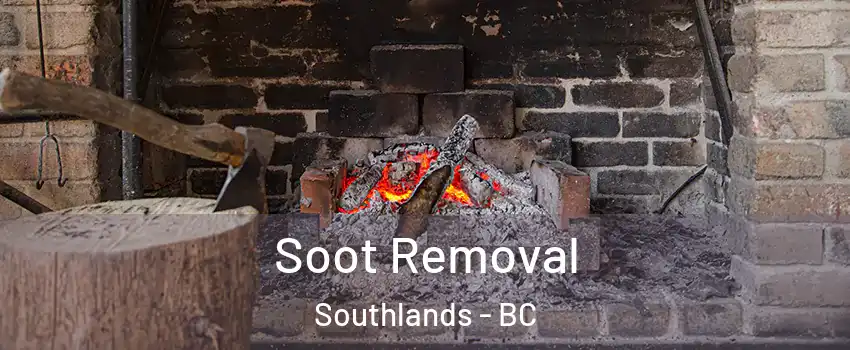 Soot Removal Southlands - BC