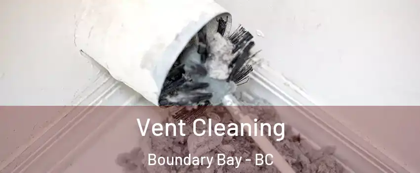 Vent Cleaning Boundary Bay - BC