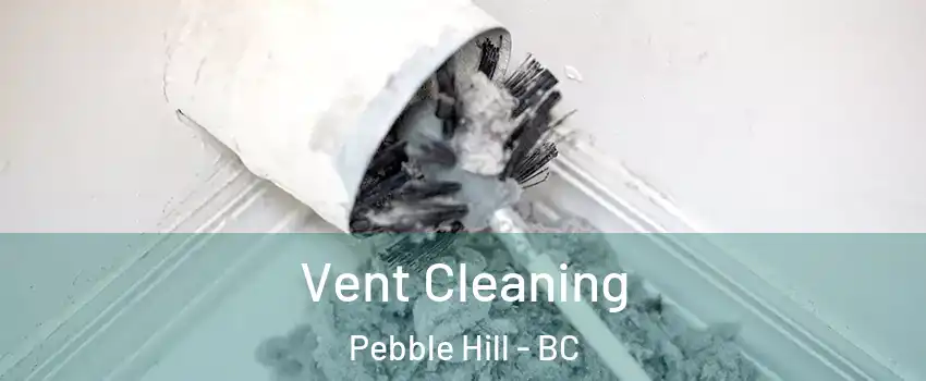  Vent Cleaning Pebble Hill - BC