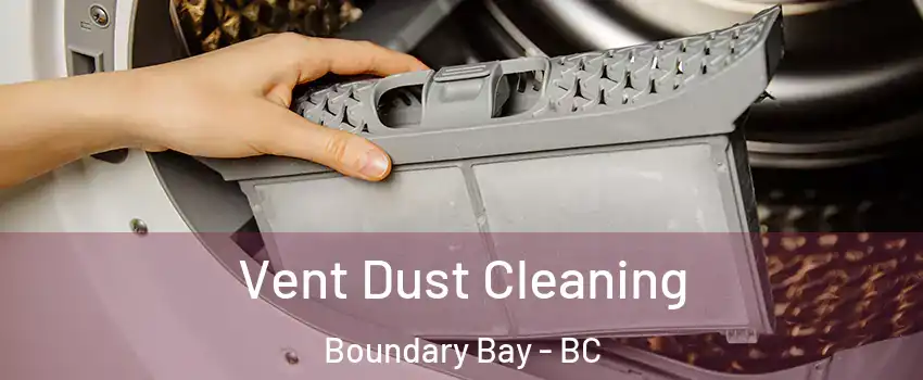 Vent Dust Cleaning Boundary Bay - BC