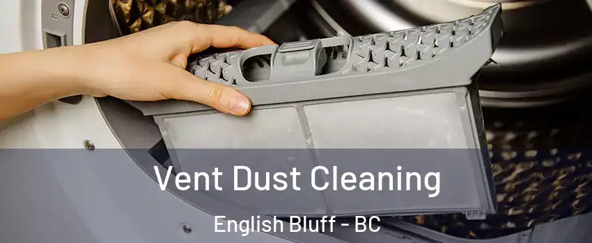 Vent Dust Cleaning English Bluff - BC