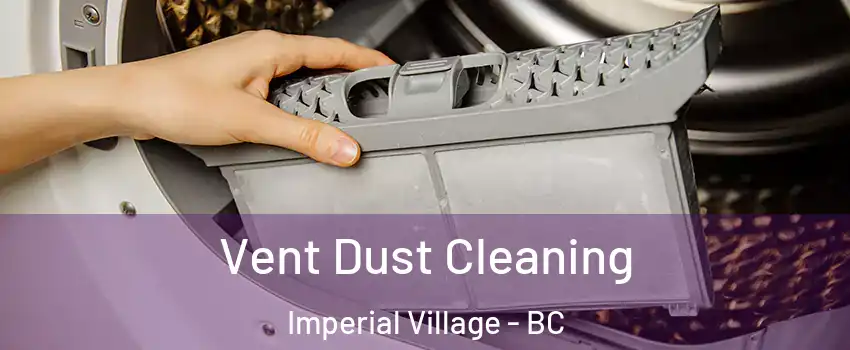 Vent Dust Cleaning Imperial Village - BC
