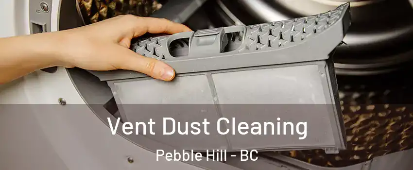 Vent Dust Cleaning Pebble Hill - BC