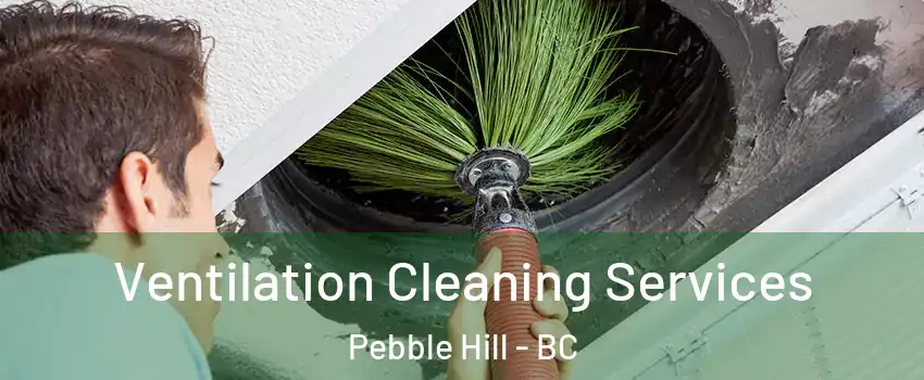 Ventilation Cleaning Services Pebble Hill - BC