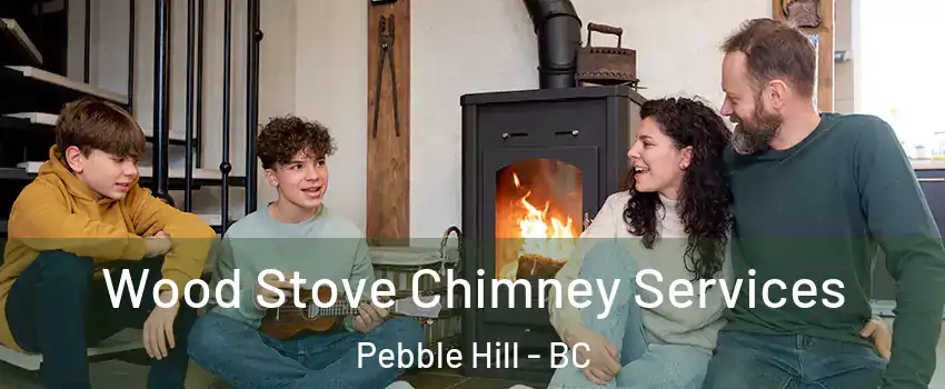 Wood Stove Chimney Services Pebble Hill - BC
