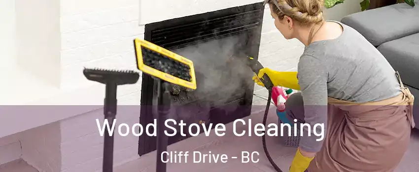 Wood Stove Cleaning Cliff Drive - BC
