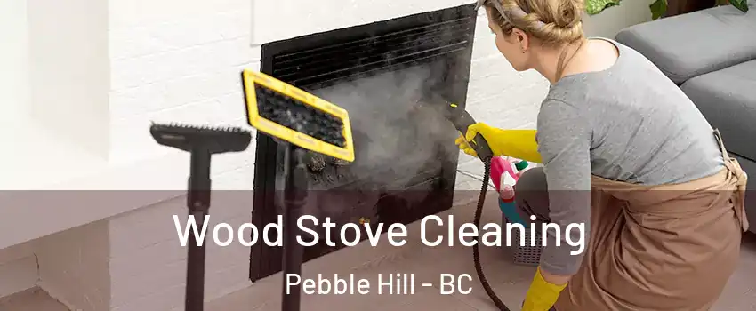 Wood Stove Cleaning Pebble Hill - BC