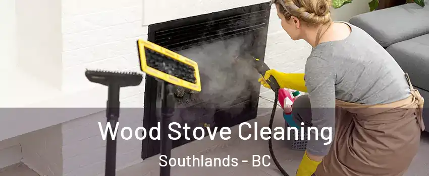 Wood Stove Cleaning Southlands - BC